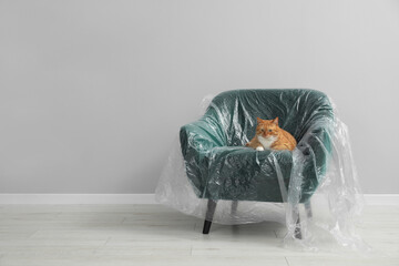 Cute ginger cat resting in armchair covered with plastic film near light grey wall indoors, space...