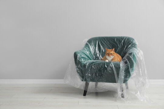 Cute ginger cat resting in armchair covered with plastic film near light grey wall indoors, space for text