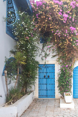 Blue door of traditional architecture of the coastal village of Sidi Bou Said in Tunisia in Africa