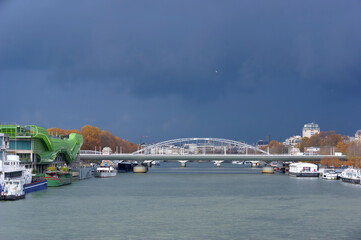 Fototapeta premium Charles-de-Gaulle bridge and Austerlitz viaduct in the 13th arrondissement of Paris city