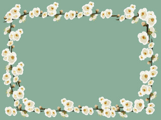 早春に花咲く水色素材が背景の白梅