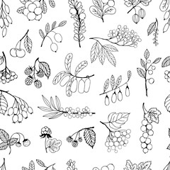 Seamless pattern with wild and cultivated berries drawn in black outline, sketch, doodle drawing - 697244244