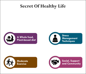 Secret of Healthy Life - A whole food, plant-based diet, Stress management techniques, Moderate exercise, Social, Support and community. Infographic template with icons