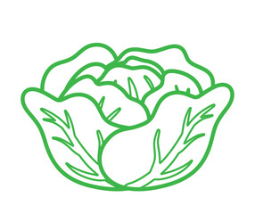 Cabbage Vegetable in Line Icon Logo Animated Cartoon Vector in Hand drawing Doodle Illustration