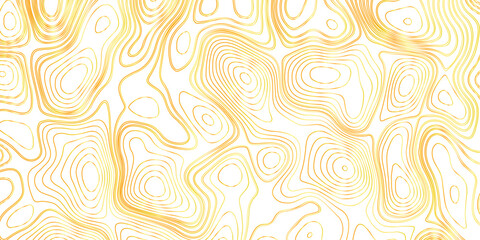Topographic map background concept with space for your copy. The stylized height of the topographic map contour in lines and contours. Vector abstract illustration. Geography concept.