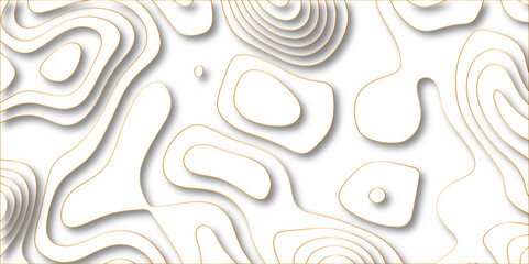 Abstract white background with golden gradient Topographic line map and shadows . Contour elevation topographic and textured Background Modern design White background with topographic wavy patte