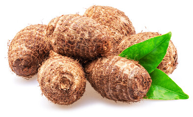 Raw organic eddoe or taro corms isolated on white background.