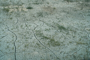 Resilience of Nature: Dry Cracked Paddy Field 干上がった田んぼ 干魃 干ばつ
