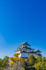 青空に映える和歌山城　和歌山市