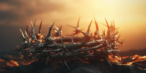 Fotobehang A crown of thorns sits atop a pile of rocks. This image can be used to represent suffering, sacrifice, or religious themes © Fotograf