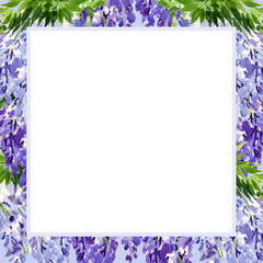 watercolor white square frame with branch of wisteria blossom flowers, hand drawn illustration with spring lilac flowers, blue plant on violet flowers background