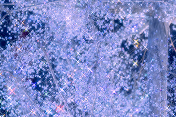 箱根の庭のキラキラなクリスマスイルミネーション