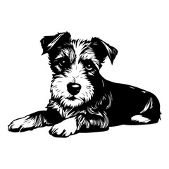 Jack Russell Terrier dog resting silhouette illustration, Jack Russell Terrier dog resting Logo Monochrome Design, Generative AI.