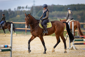 Horse training with rider on the riding arena, horse turned to the inside, two other riders in the...