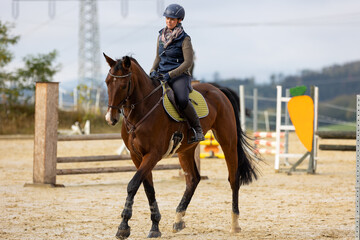 Horse training with rider on the riding arena.
