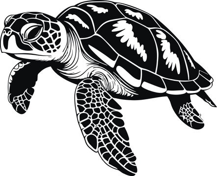 Vector turtle silhouette of a isolated on a white background, Vector illustration