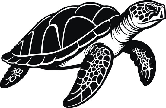 Vector turtle silhouette of a isolated on a white background, Vector illustration