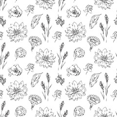 sketch  floral seamless pattern- illustration. wild flowers ornament - 697277847