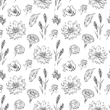 sketch  floral seamless pattern- illustration. wild flowers ornament