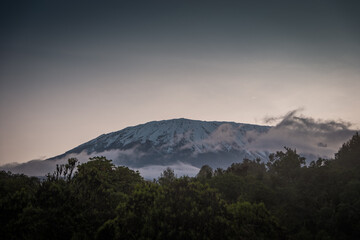 Kilimanjaro's Kibo peak from Simba camp at dusk