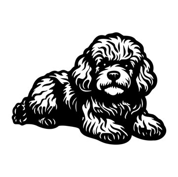 poodle dog resting silhouette illustration, poodle dog resting Logo Monochrome Design, Generative AI.