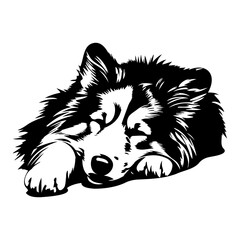 Obraz premium shetland sheepdog dog resting silhouette illustration, shetland sheepdog dog resting Logo Monochrome Design, Generative AI.