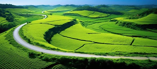 Poster panoramic views offer an aerial perspective of the countryside, Agricultural landscapes are characterized by fields, paths and winding roads, with patches of natural and green farmland. © gufron