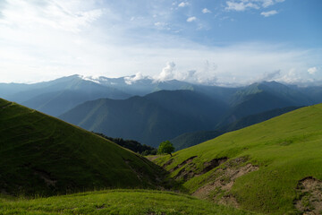 Caucasus mountains Azerbaijan. A sunny day. Animals and village