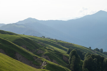 Obraz premium Caucasus mountains Azerbaijan. A sunny day. Animals and village