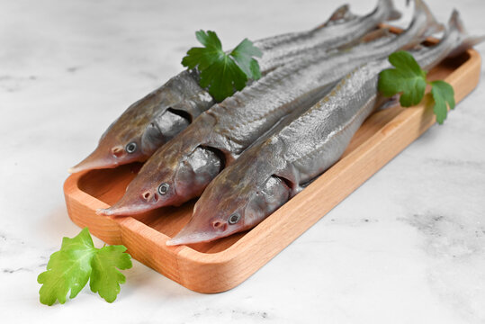 Raw sterlet fish on a wooden plate with pepper