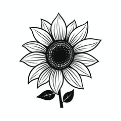Black and white sunflower outline vector illustration - sunflower line art - spring summer sunflower monochrome doodle silhouette clip art - sunflower logo