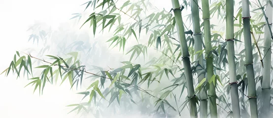  Traditional Chinese painting of bamboo forest © 文广 张
