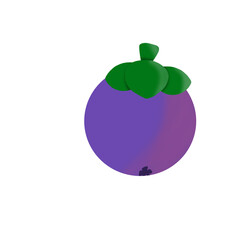 Vector illustration of mangosteen isolated on white background. Tropical fruits in south east asia