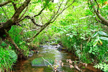 浅草山麓　遊歩道