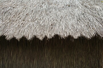 The roof is made of beautiful grass leaves. - obrazy, fototapety, plakaty