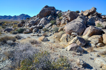 Rock desert landscape in California, yucca, cacti and desert plants in the foreground