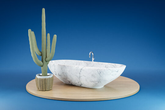 cozy bathbutb with cactus on wooden podest on infinite background; 3D Illustration