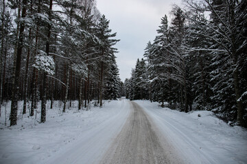 Great snowy winter landscape. A road through a snow-covered pine and spruce forest. Cold winter landscape in Sweden