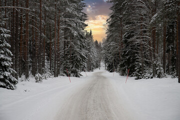 Winter landscape in the sunset. A road full of snow leads through a forest with snow-covered pine trees in Sweden