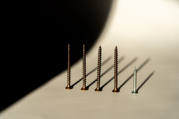 composition with a row of 4 long dark metal screws and a small silver metal screw casting long shadows on a light background and a dark area - obrazy, fototapety, plakaty