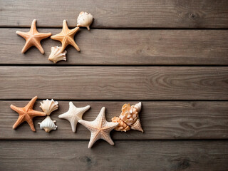 Light wooden background with starfish and seashells, concept of vacation