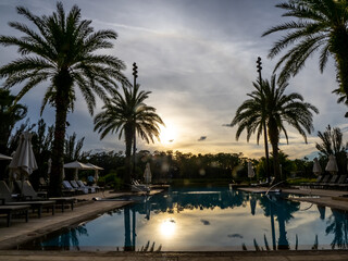 Obraz premium palm trees in the pool at night