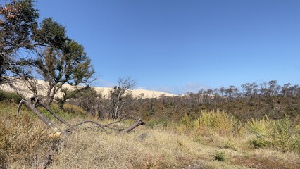 Paysage Dune du Pilat  Bassin d’Arcachon Gironde  France