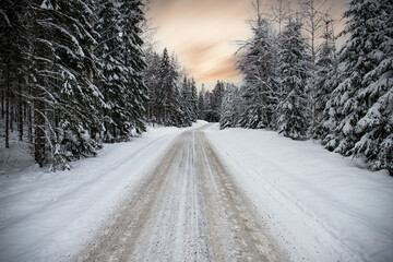 Winter landscape in the sunset. A road full of snow leads through a forest with snow-covered pine...