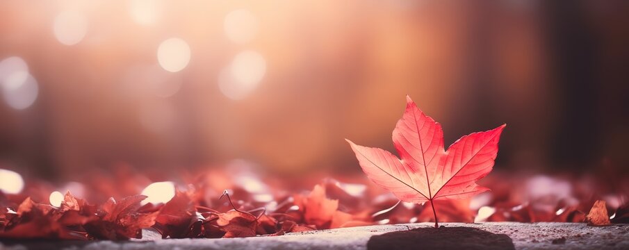 photo of scattered autumn leaves with bokeh light behind them. generative AI