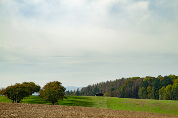 Herbstliche Wiesenidylle mit Baum besetzten Hügel und einer Hütte nahe dem Wald