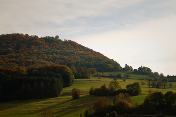 Herbstliche Hügellandschaft mit Wald