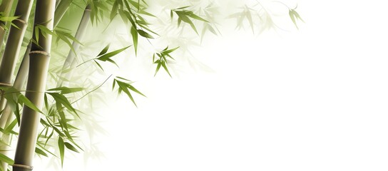 Naklejka premium Green bamboo leaves on white background, can be used as posters, advertising media, presentations and others. generative AI