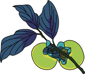 柿（persimmon）(eps)