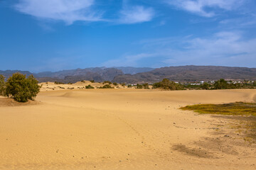 Fototapeta na wymiar The Beautiful Dunes Of Maspalomas
